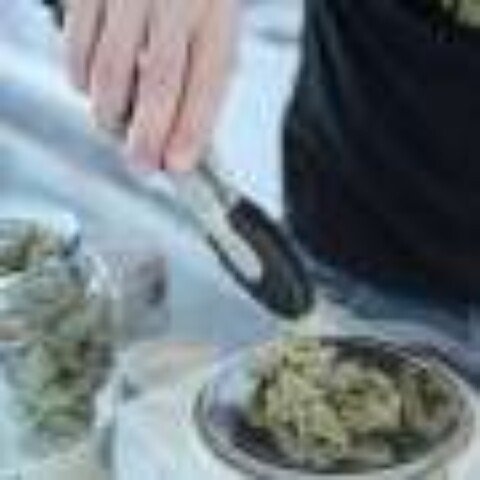 Cannabis use linked to doubled risk of cardiovascular disease death