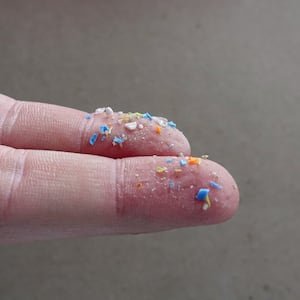 What are microplastics doing to our brains? UN talks will debate the issue next week