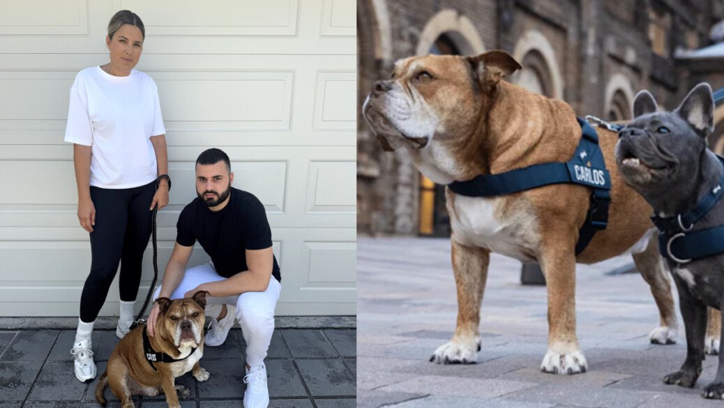 How two Sydney siblings turned their stubborn bulldog into a $20 mil business