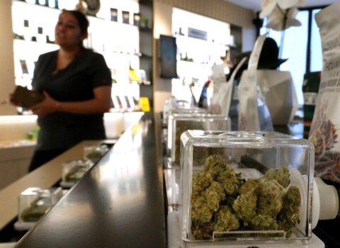 Inflation? Not in the cannabis market. Here’s why weed is so cheap.