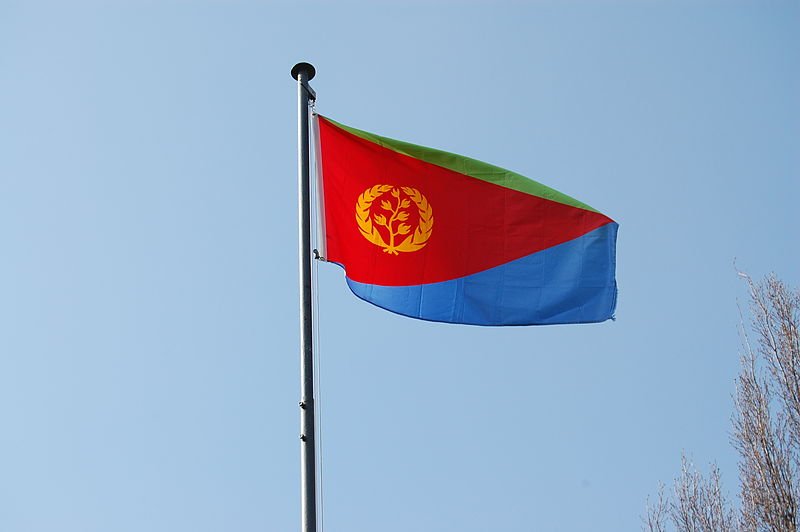 Egypt delivers medical aid to Eritrea