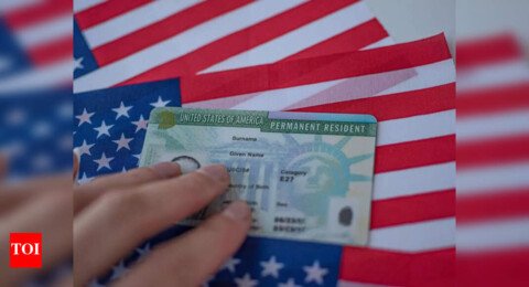 Explained: From OPT to EB-5, how Indian students are bypassing H-1B hurdles for quicker US residency