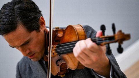 Conservationists want to protect brazilwood. So why are musicians alarmed?