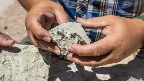 Century Lithium Achieves High Recovery of Rare Earth and Critical Elements From Primary Leach Solutions