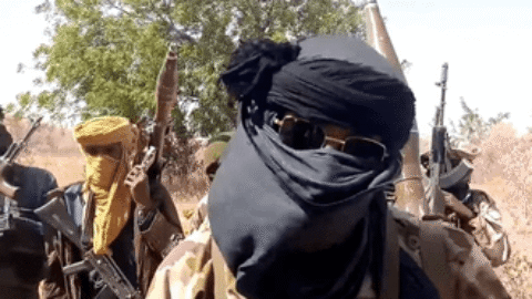 Nigerian Govt warns ransom payments fuel arms purchases, territorial control by terrorist groups