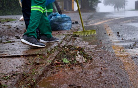 ENVIRONMENTAL SOLUTIONS: Brixton’s Waste Warriors — turning trash into opportunity and resilience