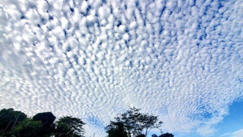 Wetter than normal dry season forecast | News Extra | trinidadexpress.com