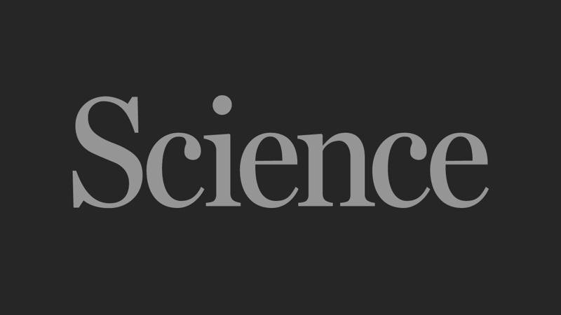 Regulate worker heat exposure in global trade | Science