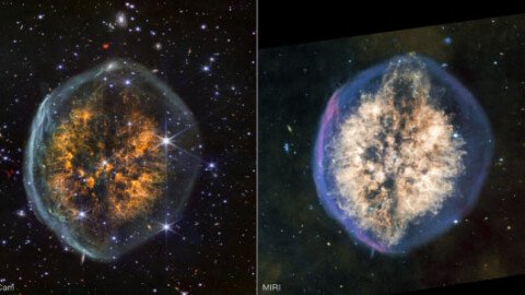 Webb’s Infrared Vision Reveals Planetary Nebula that Looks Strikingly Like Celestial Brain