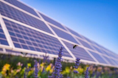 Italy’s Whysol bags financing for 328MW agriPV, energy storage portfolio