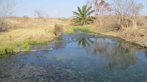 Independent Testing Where Tesla’s Lithium Refinery Discharges Wastewater Found Toxic Metals
