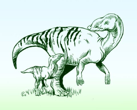 Dinosaurs May Have Fed Their Young a Special Diet, Study Suggests