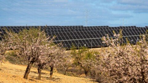 Sonnedix closes financing on 102MW PV portfolio in Spain and Italy