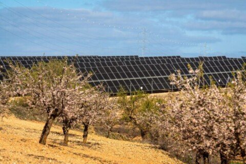 Sonnedix closes financing on 102MW PV portfolio in Spain and Italy