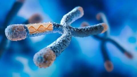 Tiny Genetic Change Turns Female Mice Into Males, Scientists Discover