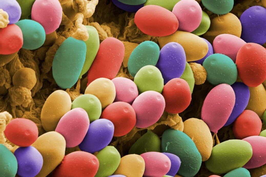 Woman with Alzheimer’s starts conversing again after taking psilocybin
