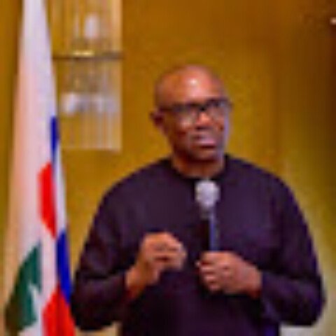 ‘You are Clueless’ – Presidency Slams Peter Obi