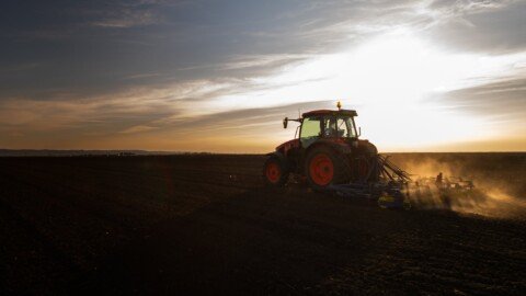 Pladis ramps up regenerative agriculture to safeguard critical supplies