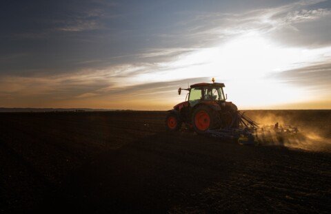 Pladis ramps up regenerative agriculture to safeguard critical supplies
