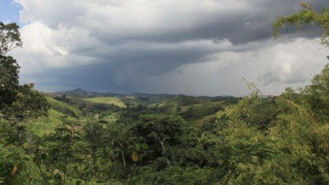 Madagascar: One of the Most Important Places for Life on Earth