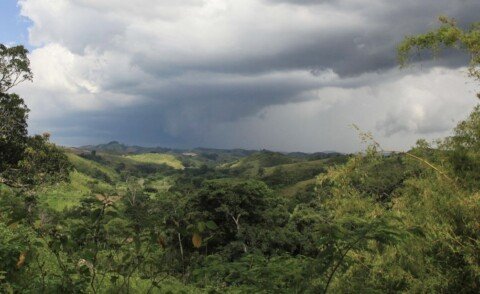 Madagascar: One of the Most Important Places for Life on Earth