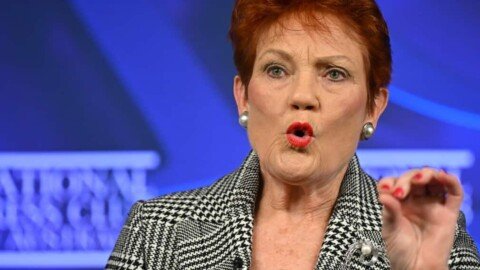 Hanson says domestic violence comments taken ‘out of context’ as criticism mounts