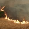 Spain and France wildfires live: 200,000 flee as flames scorch tourist areas