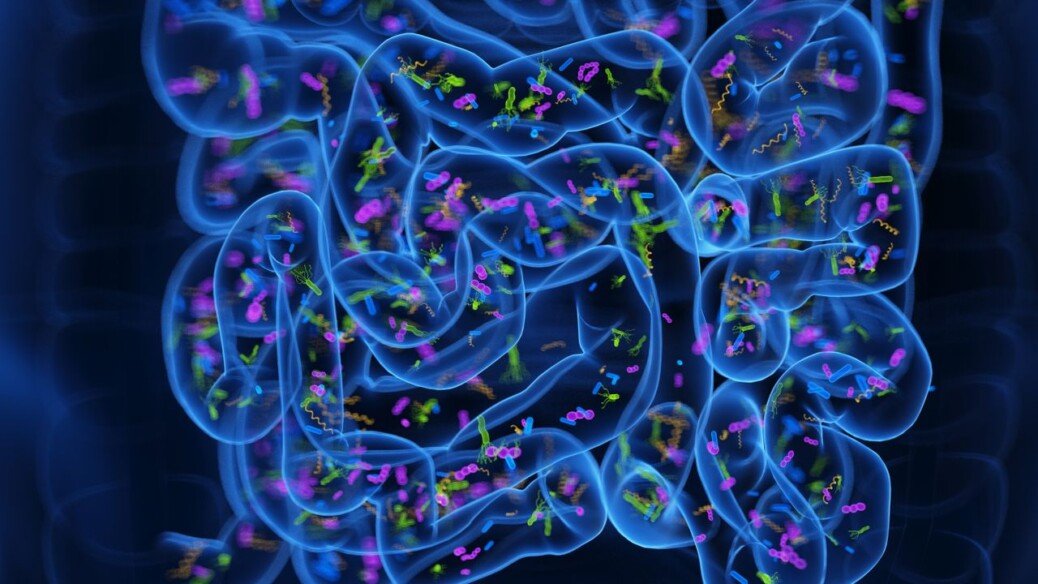 ‘Poop pills’ may ease insomnia by reprogramming the gut microbiome, early study hints