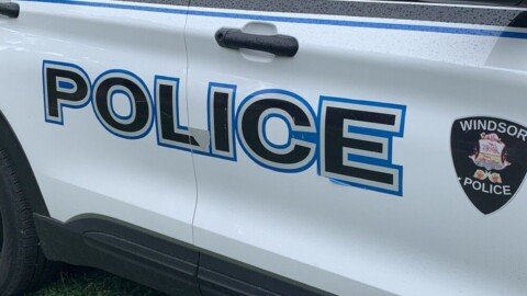 Windsor police arrest man for alleged breach of bail, fleeing officers