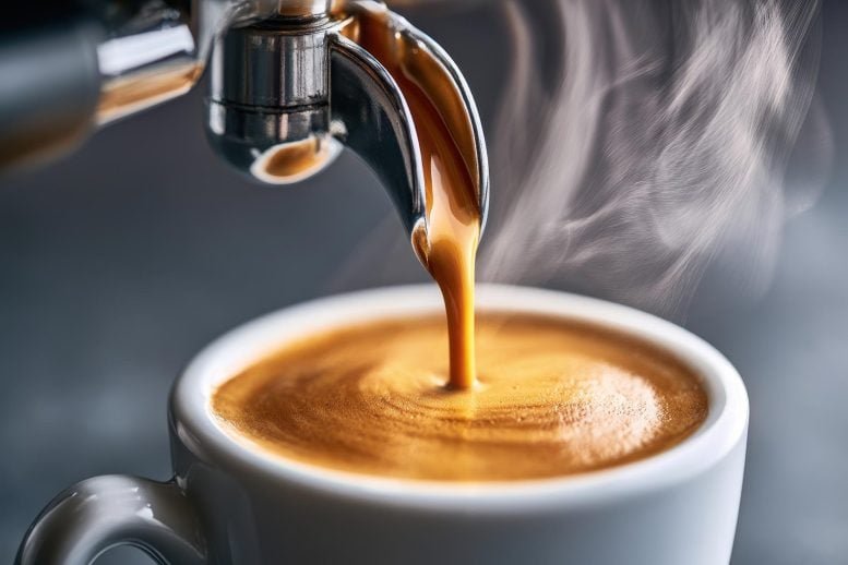 Coffee Drinkers Show Surprising Differences in Fat, Muscle, and Hormones