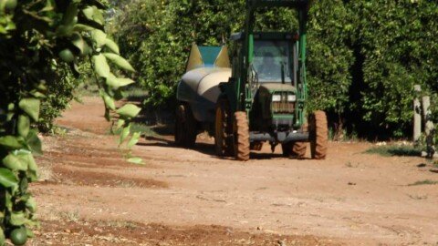 Labour hire company and four farms face more than $3 million in fines
