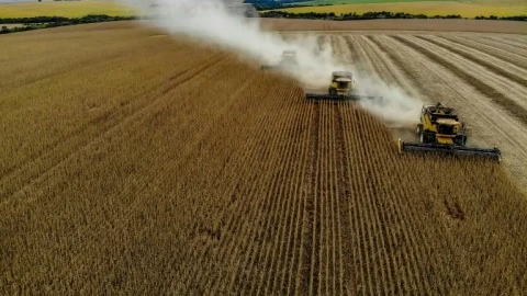 El Niño clouds outlook as agri confidence rises