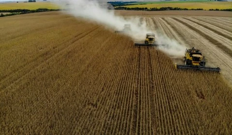 El Niño clouds outlook as agri confidence rises