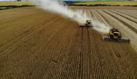 El Niño clouds outlook as agri confidence rises