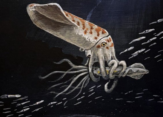The Giant Squids of the Jurassic Period
