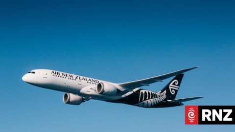 Incident involving two Air New Zealand pilots reported to Civil Aviation Authority