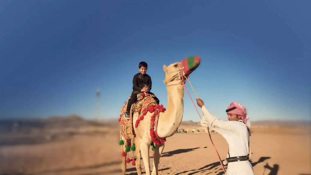 Market Rules: Saudi Arabia Draws New Lines Around Camel Trade