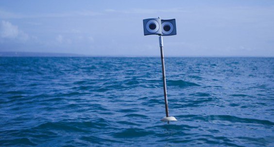 “Floating Scarecrow” Demonstrates the Enduring Power of Eyes in the Natural World