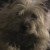 Profile picture of Star